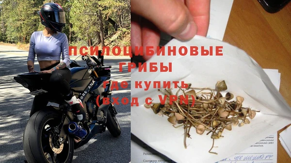 apvp Зерноград