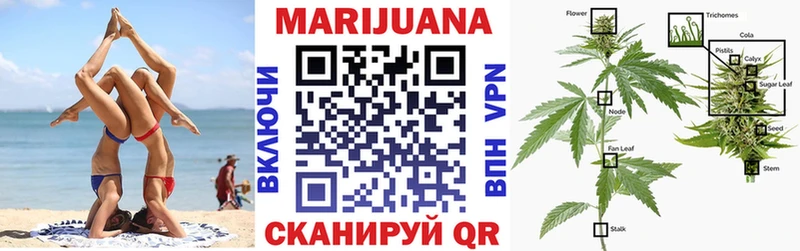 где можно купить наркотик  Армавир  Бошки Шишки семена 